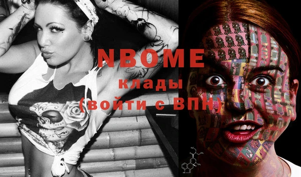 ПСИЛОЦИБИНОВЫЕ ГРИБЫ Абаза