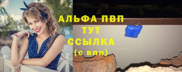 индика Осташков
