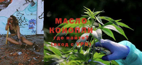 индика Осташков