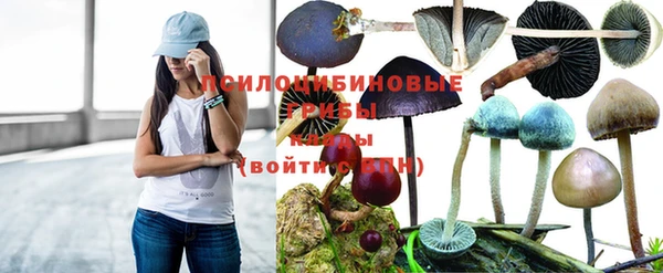 МДПВ Абдулино