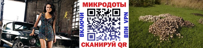 где продают наркотики  Топки  mega как зайти  Галлюциногенные грибы мицелий 