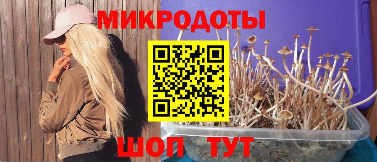 Галлюциногенные грибы ЛСД  Вход с VPN  где найти   Топки 